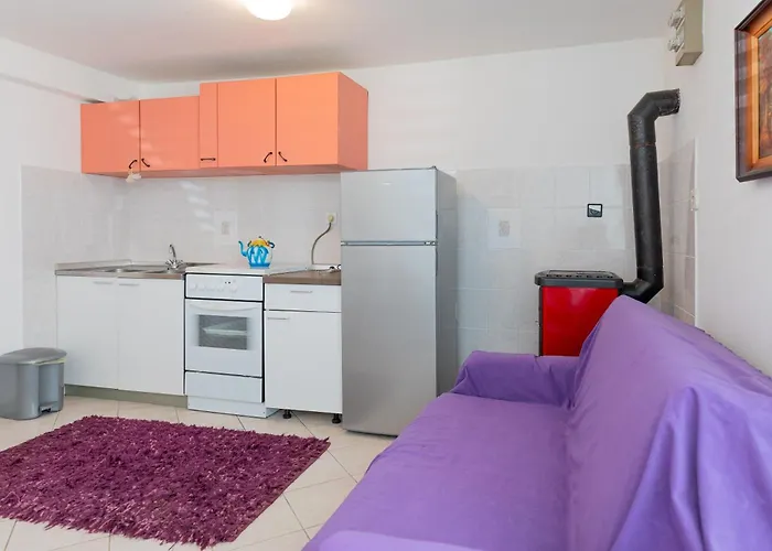 Tinka, No 1 Starigrad Paklenica